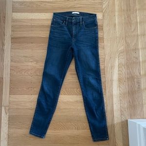 Madewell Skinny Jeans (27)